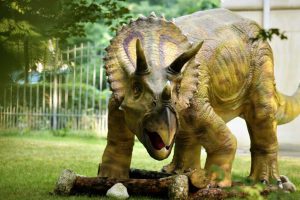 Triceratops-Muzeul-de-Geologie