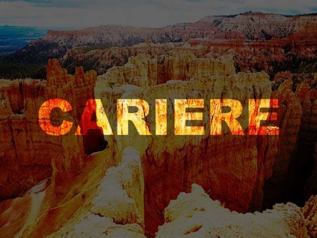 cariere_igr