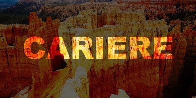 cariere_igr