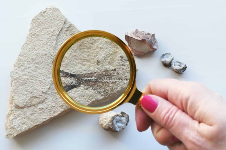 Sesiunile de comunicări ale Institutului Geologic al RomânieI